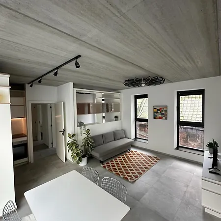 303 Loft Design Cathéderale *