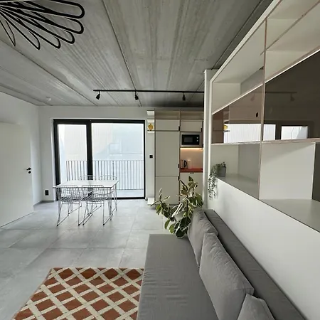 303 Loft Design Cathederale アパート リエージュ